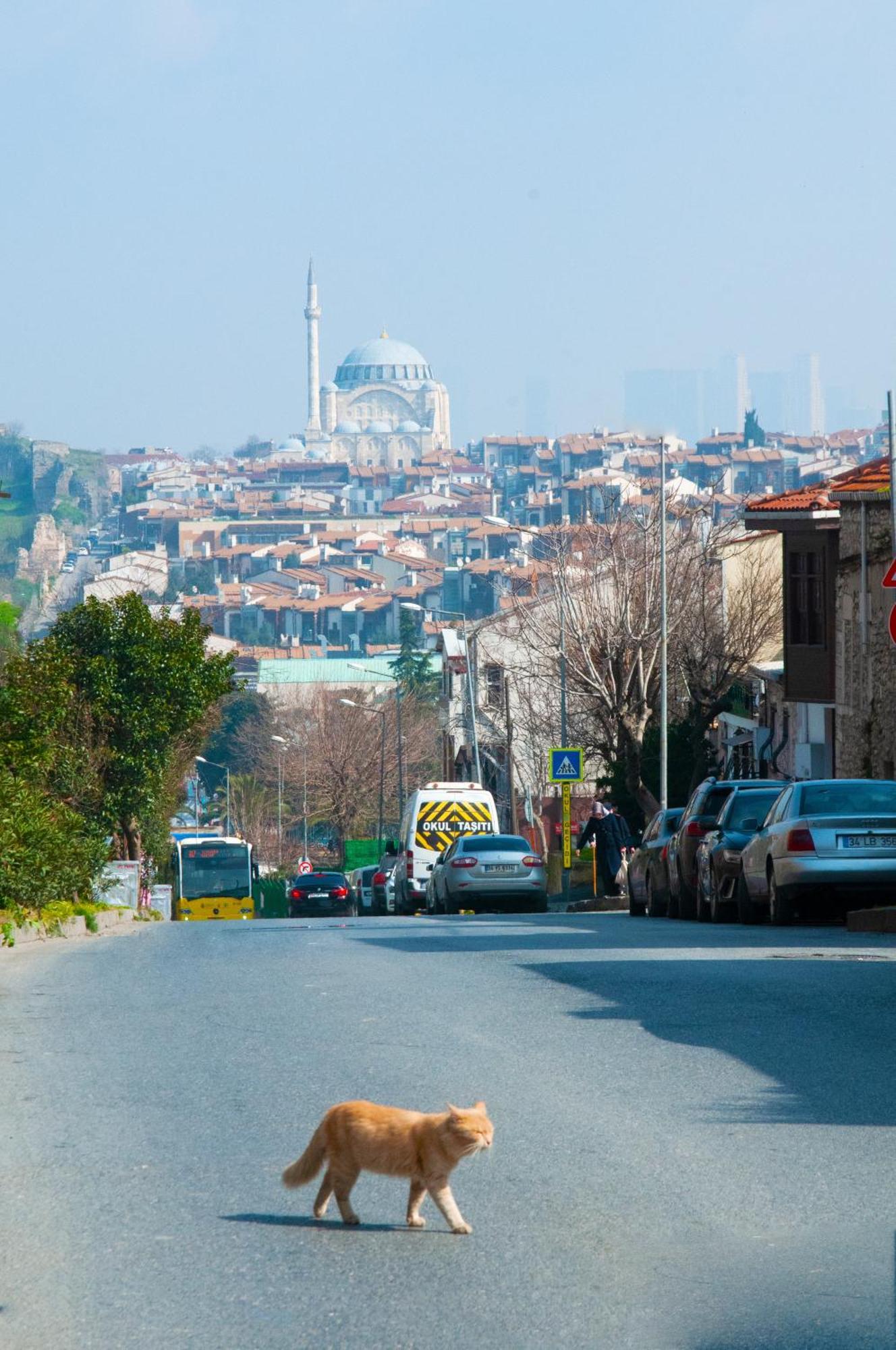 Istanbul Efes Hotel מראה חיצוני תמונה